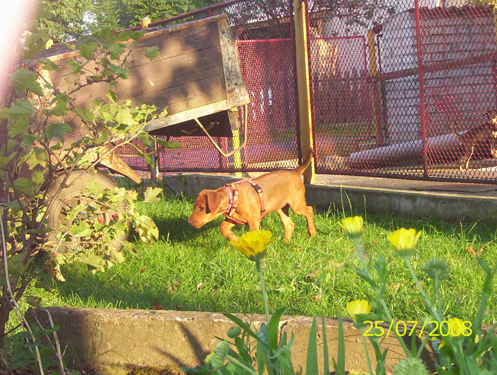101_6929.jpg